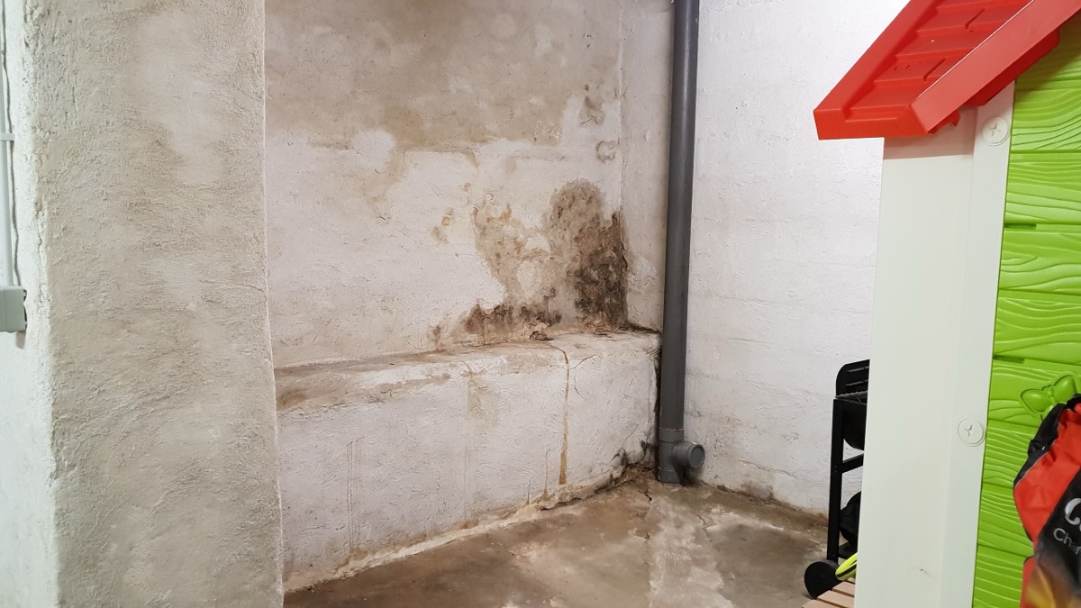 Infiltrations d'eau - Expertise humidité à Saint-Dizier